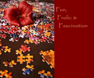 Fun, Frolic & Fascination book cover