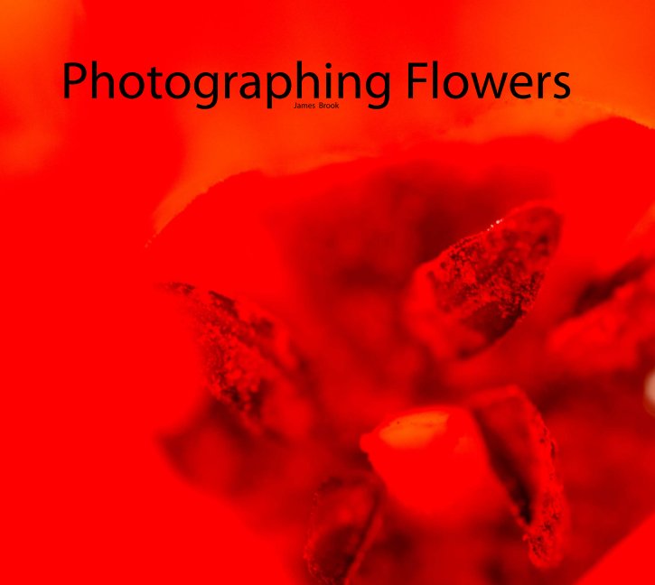 View Photographing Flowers by James Brook