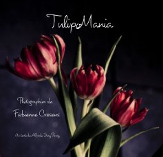 TulipoMania book cover