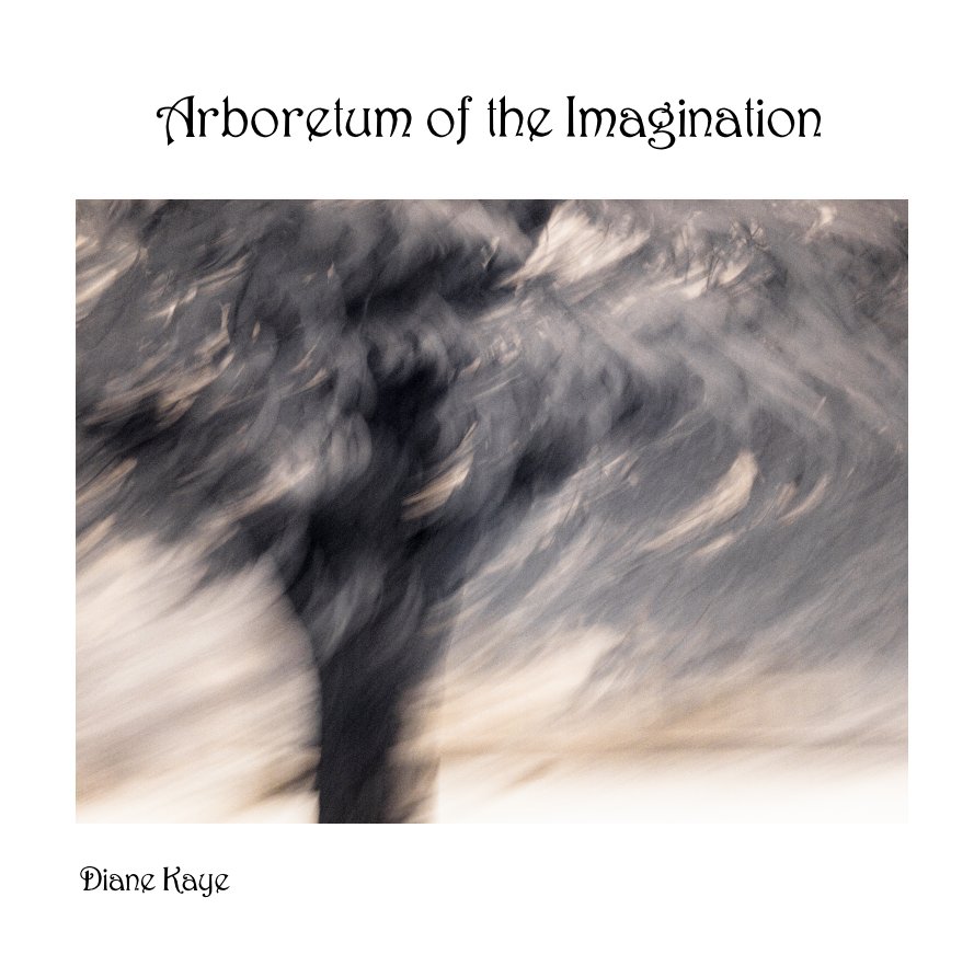 View Arboretum of the Imagination by Diane Kaye
