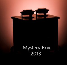 Mystery Box 2013 book cover