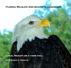 Florida Wildlife And beautiful Landscape book cover