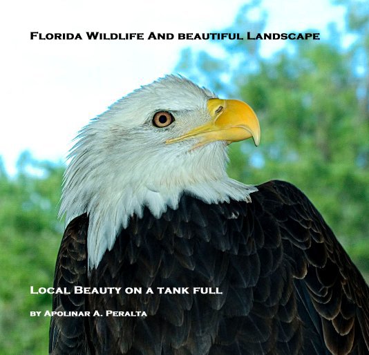 Ver Florida Wildlife And beautiful Landscape por Apolinar A. Peralta