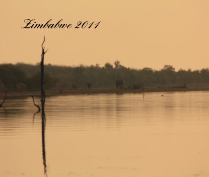 Zimbabwe 2011 book cover