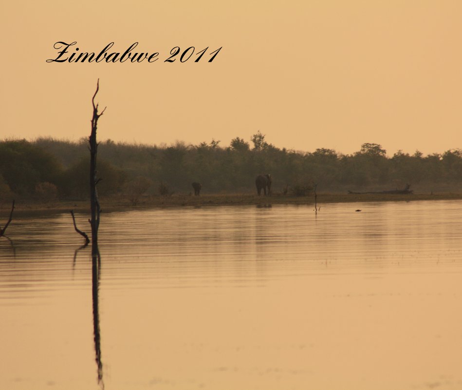 Bekijk Zimbabwe 2011 op ewanbramhall