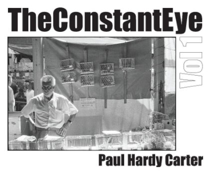 The Constant Eye, Vol.1 - Large Format book cover