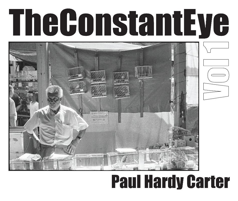 Ver The Constant Eye, Vol.1 - Large Format por Paul Hardy Carter