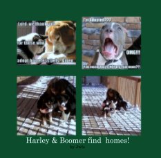 Harley & Boomer find  homes! book cover