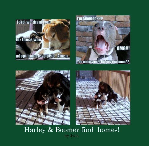 View Harley & Boomer find  homes! by Jwls