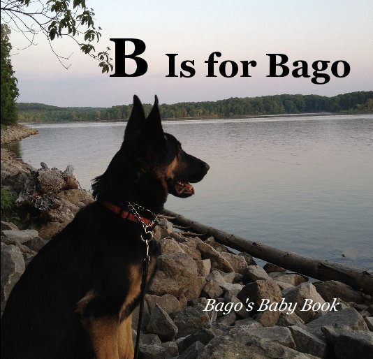 View B Is for Bago 2nd edition by Julie A. Cason