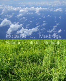 Random Colorful Moments (2005-2010) book cover