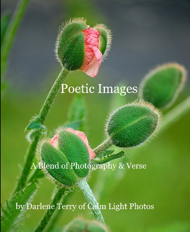 View Poetic Images by Darlene Terry of Calm Light Photos