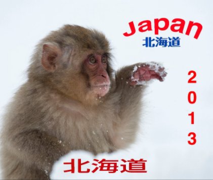 Japan 2013 book cover
