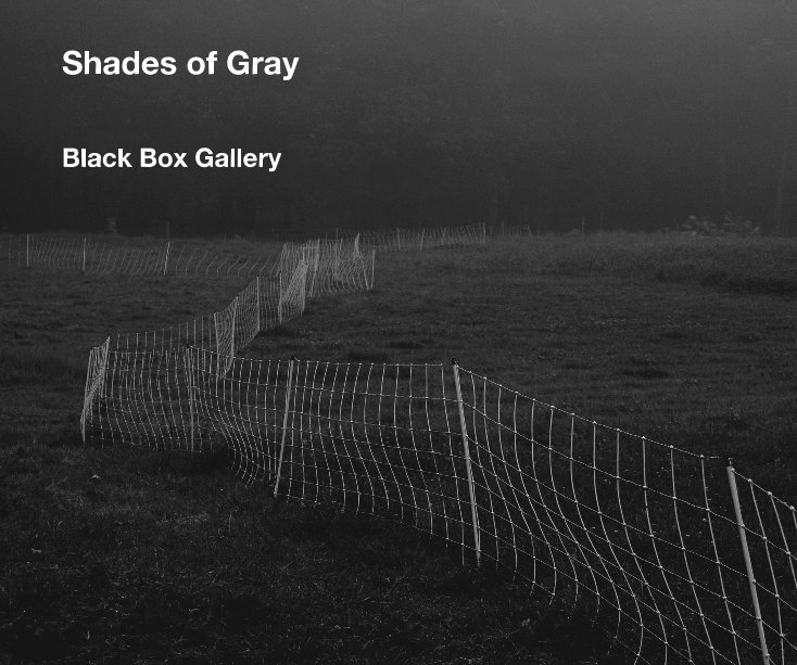 View Shades of Gray by Black Box Gallery