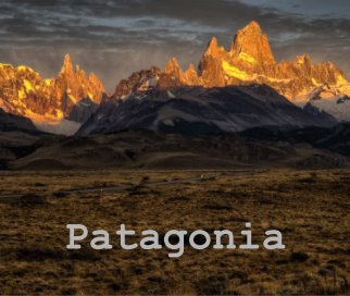 Patagonia 2013 book cover