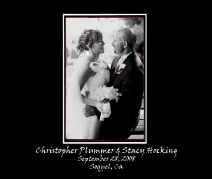 The Plummer's Wedding book cover
