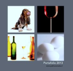 Portafolio 2013 book cover
