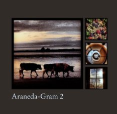 Araneda-Gram 2 book cover