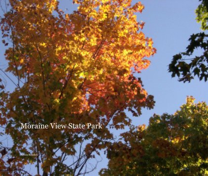 Moraine View State Park book cover