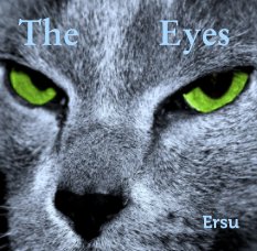The         Eyes book cover
