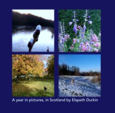 A year in pictures, in Scotland by Elspeth Durkin book cover