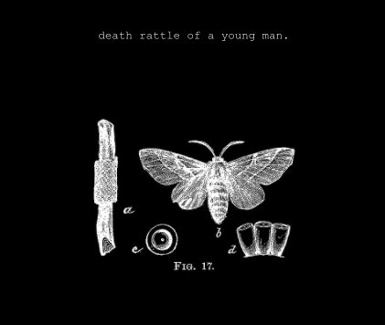 death rattle of a young man. book cover