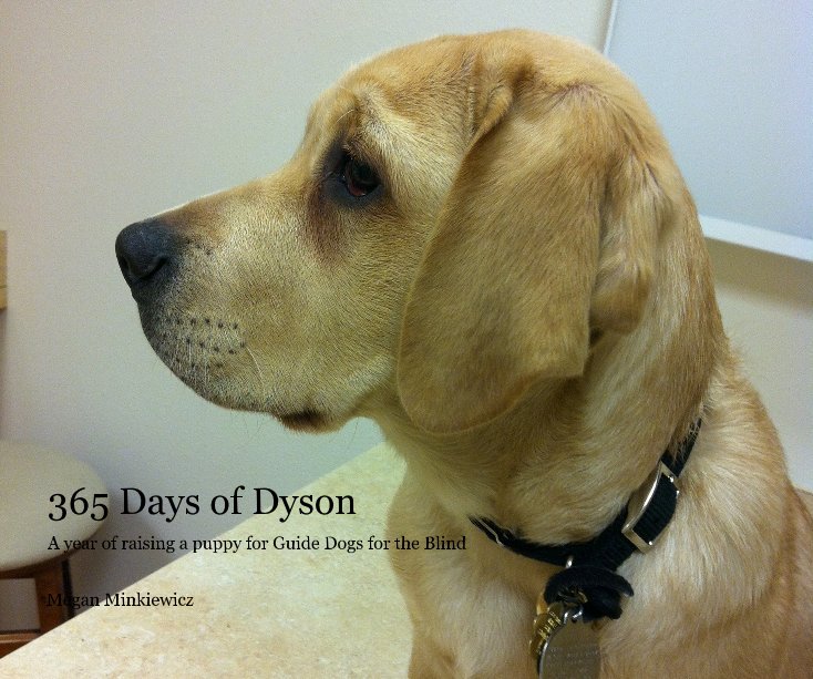 View 365 Days of Dyson by Megan Minkiewicz