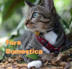 Fura Domestica book cover