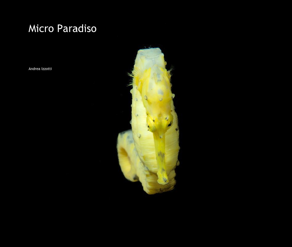 Visualizza Micro Paradiso di Andrea Izzotti