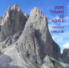 DOVE TOSANO LE AQUILE book cover