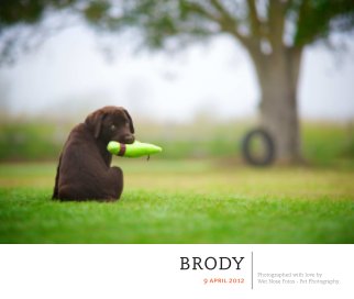 Brody book cover