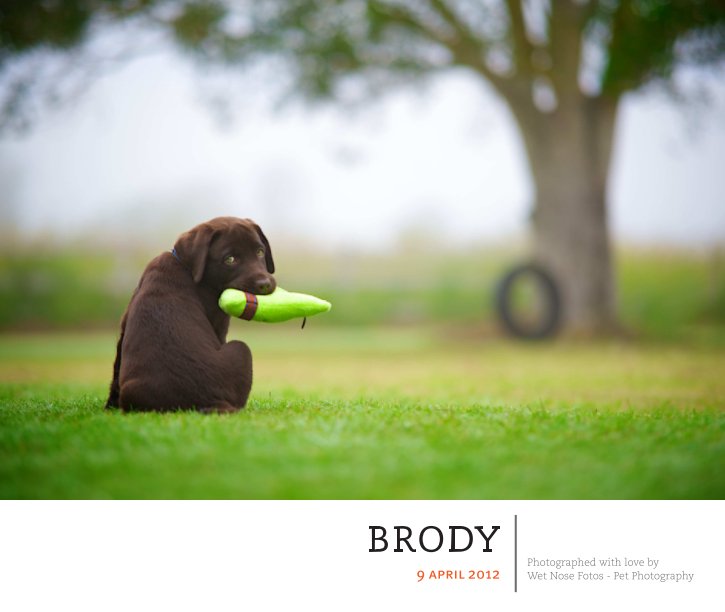 View Brody by Wet Nose Fotos