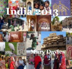 India 2013 book cover