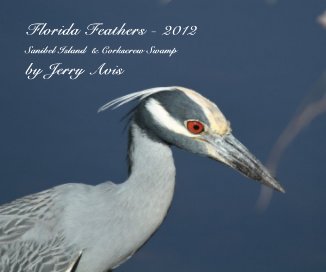 Florida Feathers - 2012 book cover