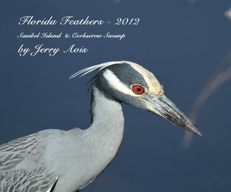 View Florida Feathers - 2012 by Jerry Avis