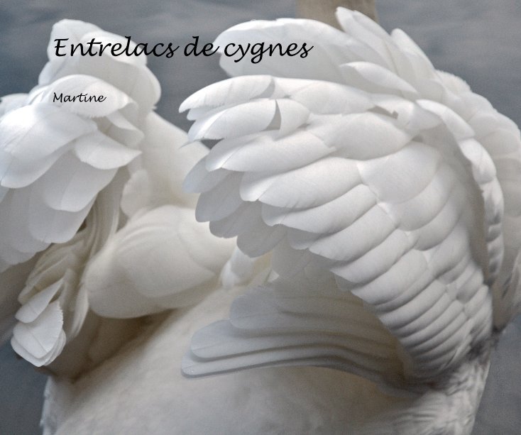 View Entrelacs de cygnes by Martine