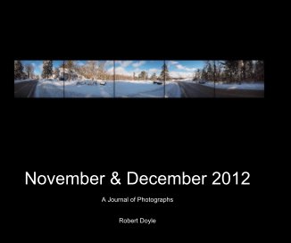 November & December 2012 book cover