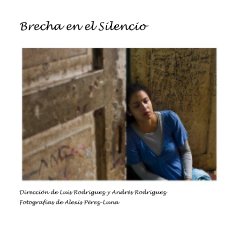 Brecha en el Silencio book cover