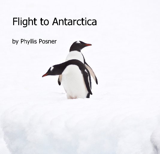 View Flight to Antarctica by Phyllis Posner