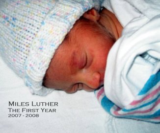 Miles Luther The First Year 2007 - 2008 book cover