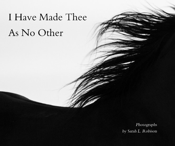 Ver I Have Made Thee As No Other por Sarah L. Robison
