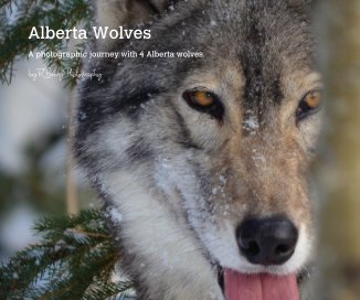 Alberta Wolves book cover