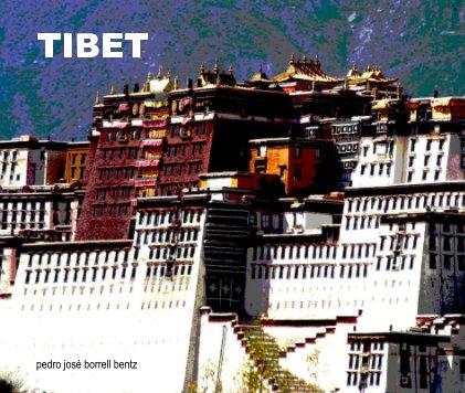 TIBET book cover