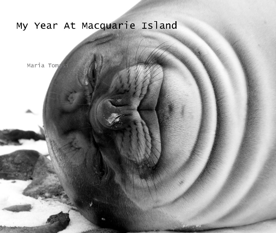 View My Year At Macquarie Island by Maria Tomasi
