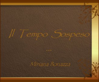 Il Tempo Sospeso ... book cover