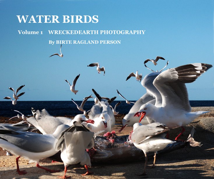 View WATER BIRDS by BIRTE RAGLAND PERSON