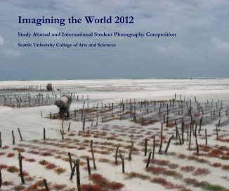 Imagining the World 2012 book cover
