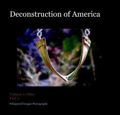 Deconstruction of America
Book 2 book cover