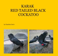 KARAK RED TAILED BLACK COCKATOO book cover