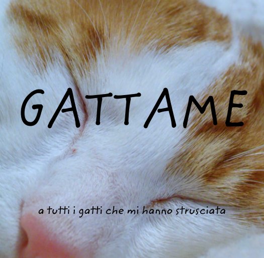 View GATTAME by Stefania Galluccio